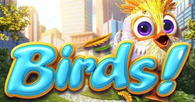 Birds