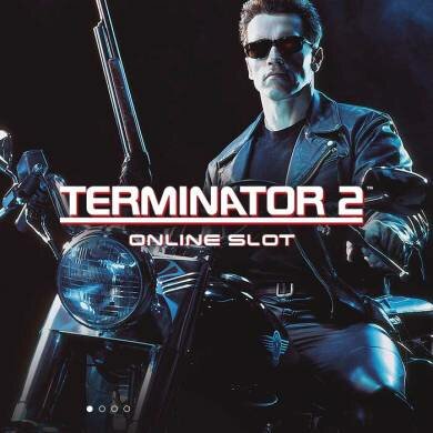 Terminator 2™