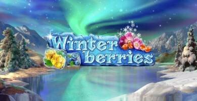 Winter Berries