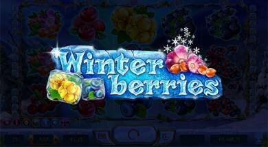 Winterberries