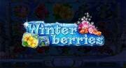 Winterberries